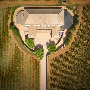 Novo rótulo da Louis Latour chega ao Brasil pela Inovini